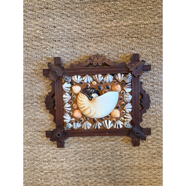Shell Art in Antique Frame For Sale - Image 4 of 6