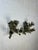 Bronze Lion Sconces For Sale - Image 4 of 12