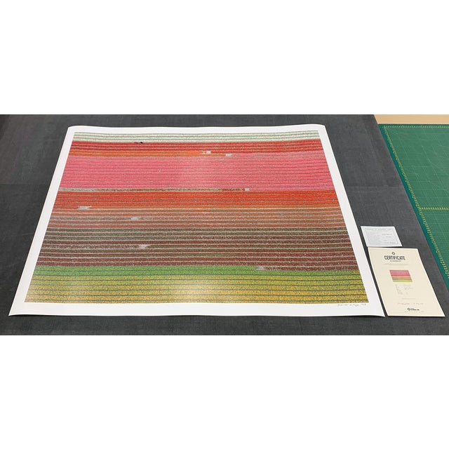 Photography AV_Tulip_Fields_035" Contemporary Aerial View Limited Edition Photograph by Bernhard Lang For Sale - Image 7 of 10