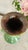1950s Vintage German Green and Brown Drip Glaze Double Handle Vase, Marked Germany 850 For Sale - Image 5 of 14