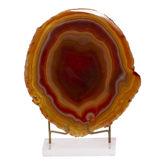 Contemporary Chrissy Apricot Colored Agate Slice For Sale