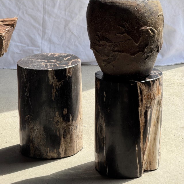 Stone Side Table in Black Petrified Wood with Beige Fine Mesh Pattern For Sale - Image 7 of 18