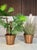 A set of simple yet elegant copper plant pots, made in Germany in the 1960s. Each of these high-quality pots features a...