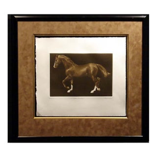 g.h Rothe "Ben Rabba" Brown Horse Mezzotint Etching Hand Signed Framed Obo For Sale