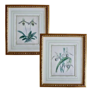 Pair of Orchid Lithographs, 19th Century, by John Nugent Fitch For Sale