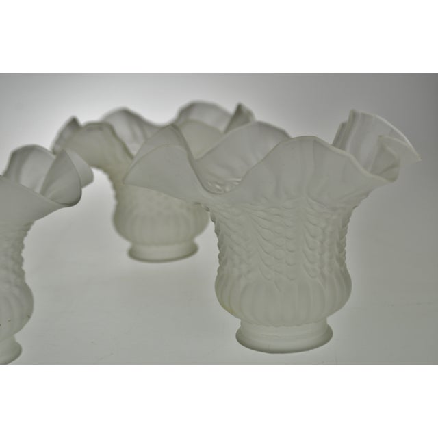 Vintage Victorian Style Ruffled Tulip Glass Lamp Shades Group of 5
