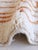 Ivory Ivory & Terracotta Abstract Wool Rug - 10.2 X 7 Ft For Sale - Image 8 of 8