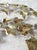 1970s Vintage Curtis Jere-Style 4 Gold Metal Leaf Wall Hanging Sculpture For Sale In Dallas - Image 6 of 10