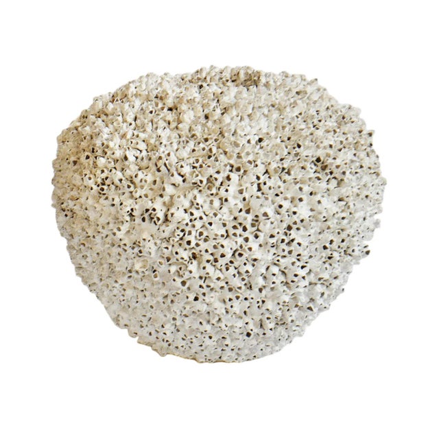 Vintage White Barnacle Shell Pot For Sale - Image 9 of 9