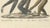 Karl Joseph Brodtmann, Gibbons & Monkeys, 1816, Lithograph For Sale - Image 9 of 10