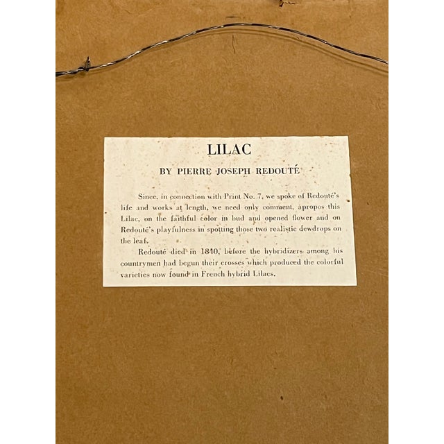 Pair Vintage English Country House Framed Floral Botanical Prints After Redoute and Chirat For Sale - Image 10 of 14