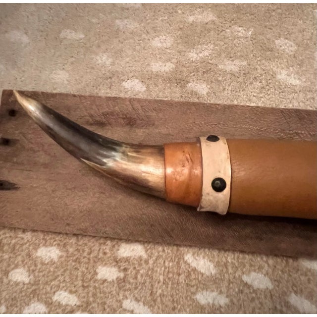 Vintage Mounted Bull Horns For Sale - Image 11 of 12