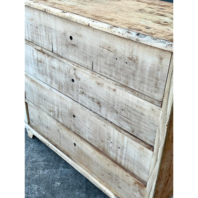Vintage Bleached Biedermeier Chest of Drawers For Sale - Image 11 of 12