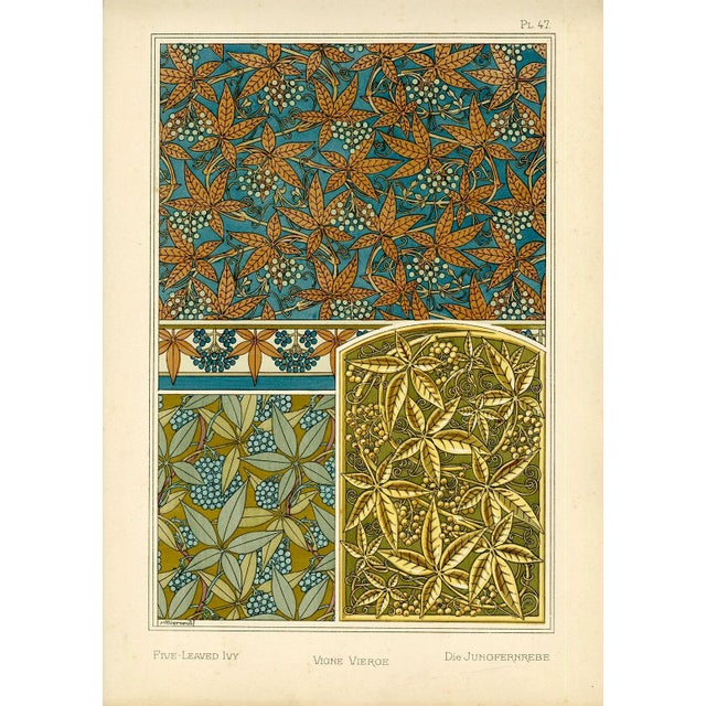 Art Nouveau "Vigne Vierge, Pl. 47" Art Nouveau Pochoir by m.p. Verneuil For Sale - Image 3 of 3