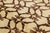 Beige Handmade Paki Peshawar Wool Rug With Allover Design in Brown For Sale - Image 8 of 10