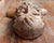 Brown 19th Century or Earlier Folk Art Carved Bearded Figure Head in Oak, North Wind Sea God For Sale - Image 8 of 16