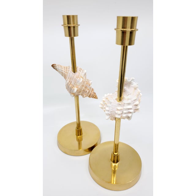 Brass Brass Candlesticks Shells Seashells For Sale - Image 8 of 15