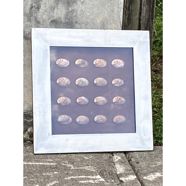 Shell Vintage Coastal Shadow Box Featuring Multiple Abalone Shells. For Sale - Image 7 of 12