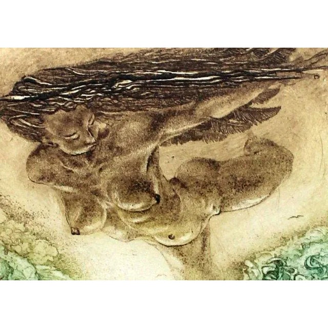 Barbara Rosiak, Fortuna, 1985 For Sale - Image 4 of 5