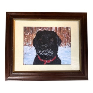 Contemporary Snowy Black Labrador Print by Judy Henn For Sale
