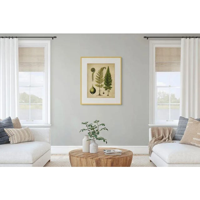 Paper Set of 6 - 16' X 20' 'Fiddlehead Fern Studies' Dark Green Botanical Floral Prints, Unframed For Sale - Image 7 of 9