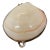 Vintage Pearlized Clam Shell Trinket Box For Sale
