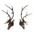 2 Faux Wood Deer Stag Buck Head Taxidermy Wall Mount Sculptures 43" For Sale