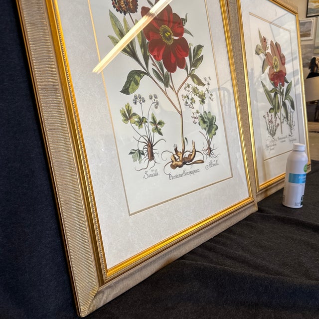 Large Botanical Original Lithographs Vibrant Color in Gold Gilt Frames Set of 2 Red Floral For Sale - Image 9 of 13