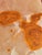 Brown Round Coffee Table with Onyx For Sale - Image 8 of 11