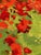 Modern Aubusson Tapestry by Artdad, 1980s For Sale - Image 11 of 18