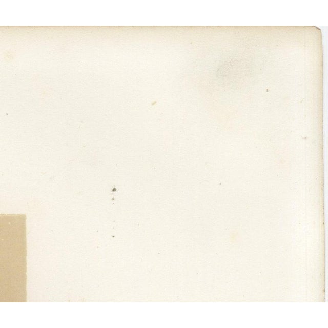Gold After Rosa Bonheur, Salers Cow and Calf, 1873, Paper For Sale - Image 8 of 12