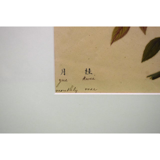 Art Sz: 13 3/4"H x 16 5/8"W Frame Sz: 22 1/4"H x 25 1/4"W