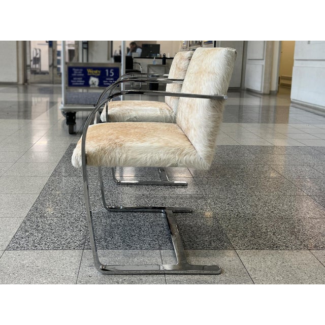 Ecru Bauhaus Style Cantilevered Steel Chairs in Pony Skin - A Pair For Sale - Image 8 of 15