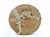 Painted terracotta sculture realized by sirio pellegrini in 1960s. Good condition. Sirio pellegrini, born in rome on march...