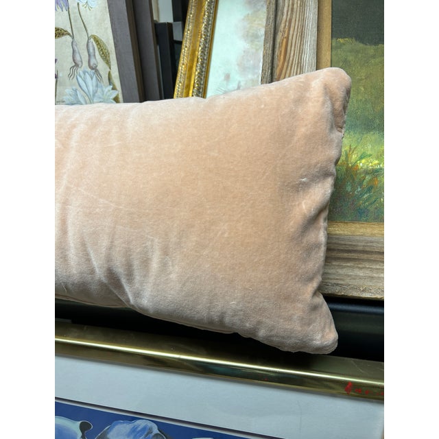 Pink Bella Notte Long Cotton Velvet Lumber Pillow in Pearl For Sale - Image 8 of 12