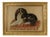 Large Framed 19th Century Folk Art Woolwork of a King Charles Spaniel on a Cushion For Sale