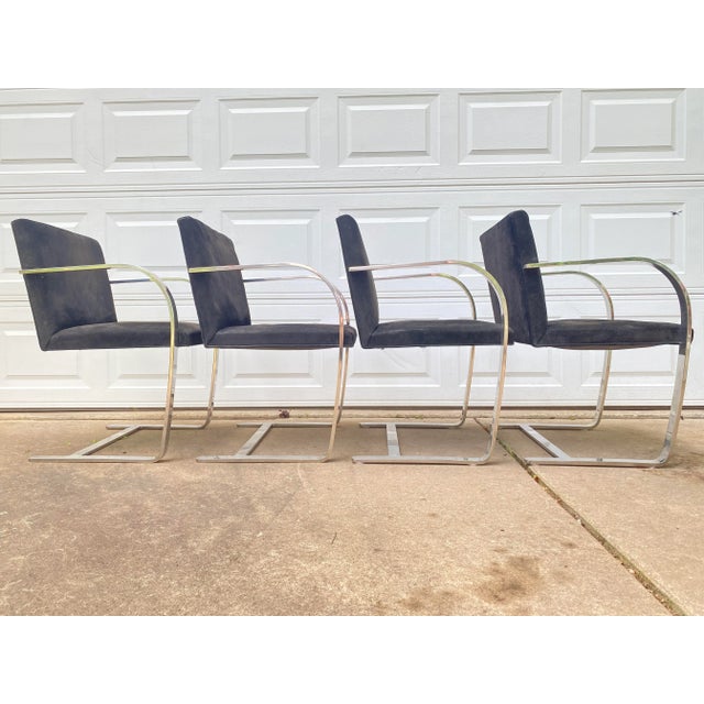 Black 1980s Knoll Mies Van Der Rohe Flat Arm Brno Black Suede Stainless Steel Chairs - Set of 4 For Sale - Image 8 of 12