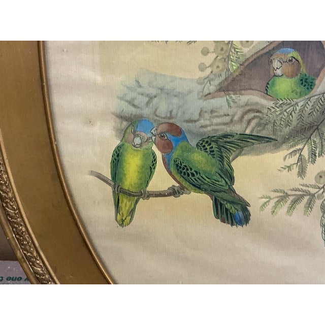 Victorian Style Framed Giltwood Watercolor on Paper Tropical Parrots / Birds For Sale - Image 4 of 10