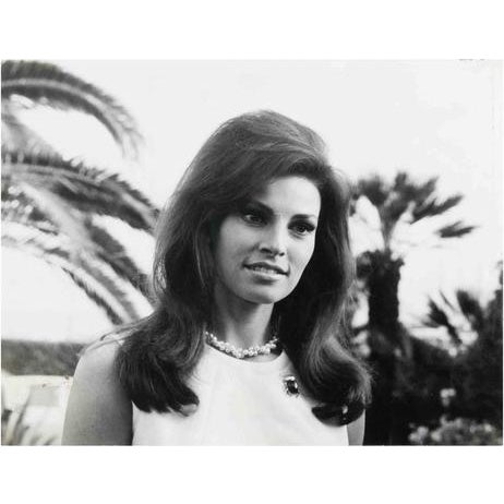 Giancolombo Agency Photographer, Portrait of Raquel Welch, Black and White Image, 1969 For Sale - Image 3 of 3