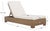 Blanquilla Eucalyptus Chaise Lounge, Natural/Beige For Sale In Philadelphia - Image 6 of 13