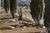 1930s French Oil on Canvas Southern Light Over the Provencal Field by Ely Laumonier For Sale - Image 5 of 10