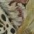 Mid 20th Century 1977 Clancy Cherry Signed Leopard Oil Painting – Framed Wildlife Realism For Sale - Image 5 of 11