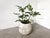 Sculpture Materials Spherical Planter Made of Fiber Cement, DLG Willy Guhl, 1960s For Sale - Image 7 of 9