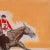'Steeplechase, Los Altos Hunt' by Frank Ashley, St. Martin's School, Pennsylvania Academy of Fine Arts, Art Students' League, Carmel Art Association For Sale - Image 4 of 10