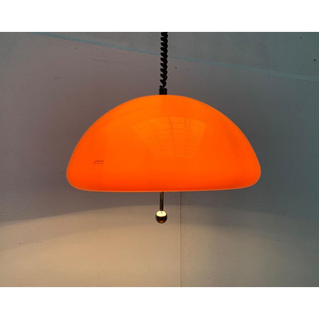 Space Age Cabras Pendant Lamp by Luigi Massoni for Guzzini, 1960s For Sale - Image 13 of 18