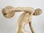 1950s Plaster Discobolus Table Sculpture Statue For Sale In Miami - Image 6 of 13