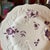 Ridgway Porcelain Set of 21 Antique Job Ridgway Cauldon Place Dessert Plates, Pattern B1154, Circa 1808-1814 For Sale - Image 4 of 12