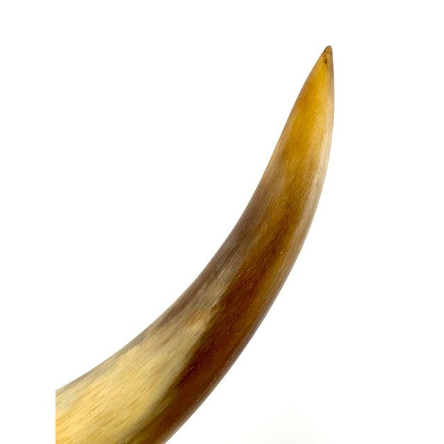 Vintage Mid-Century Sculptural Cow Horn Cigar Ashtray & Rest For Sale In Little Rock - Image 6 of 10