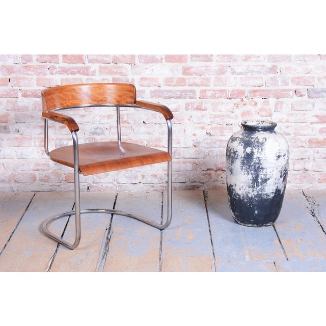 Czech Bauhaus Armchair in Beech, Walnut and Chrome attributed to Hynek Gottwald, 1930s For Sale - Image 11 of 13