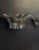 Murano Palmette Smoked Glasses Sconces - a Pair For Sale - Image 4 of 8